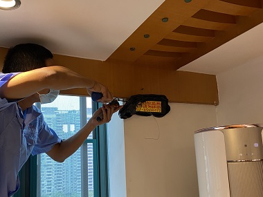 盐步除白蚁中心白蚁防治:普通杀虫剂是否奏效